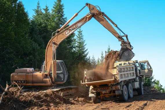 Kaszinó Bonkers Bet Támogatás